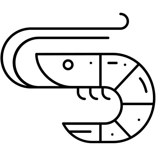 虾
