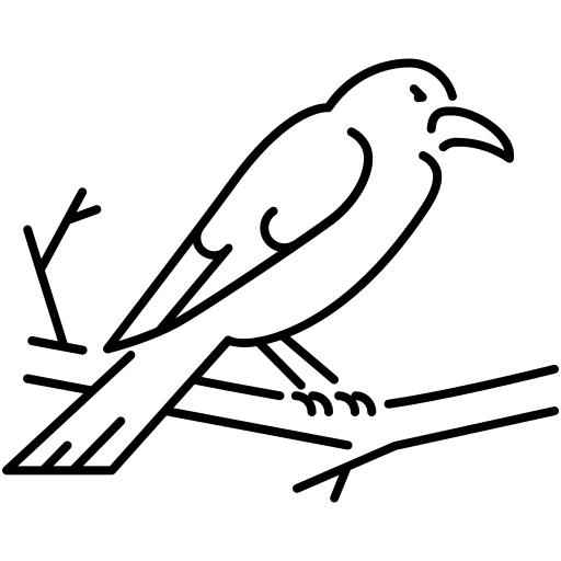 Swallow