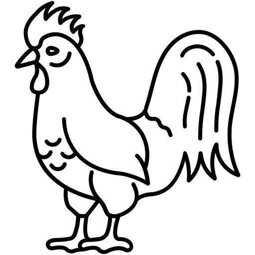 Cock