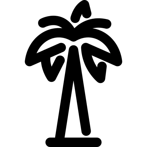 Palm