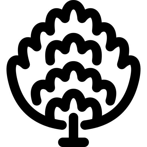 Bush