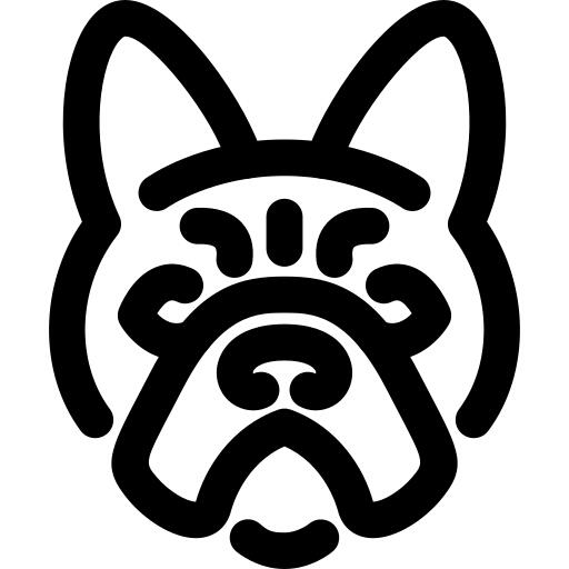 斗牛犬