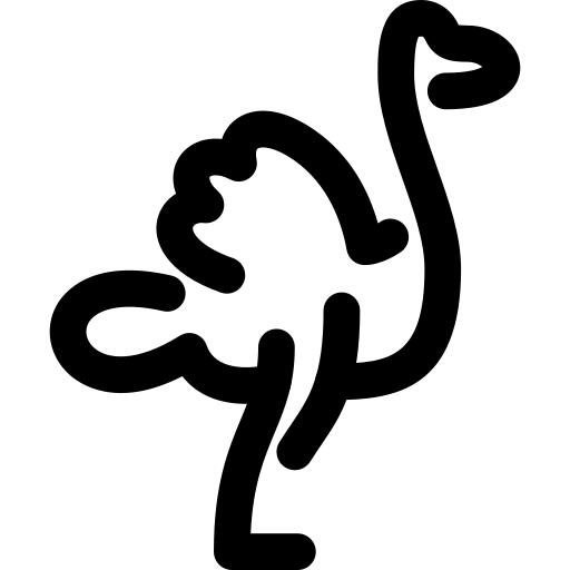 Ostrich