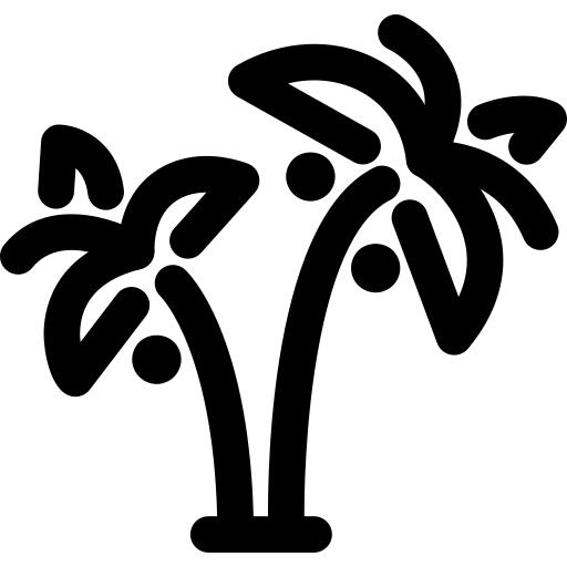 椰子树