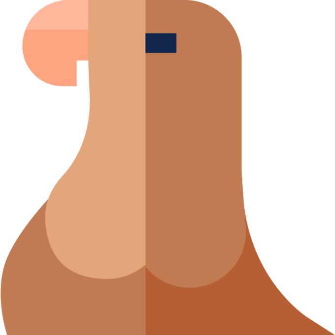 Hawk