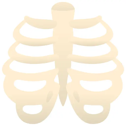 Ribs
