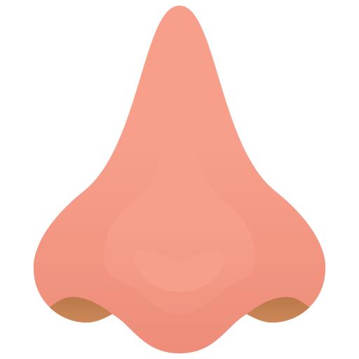 鼻子