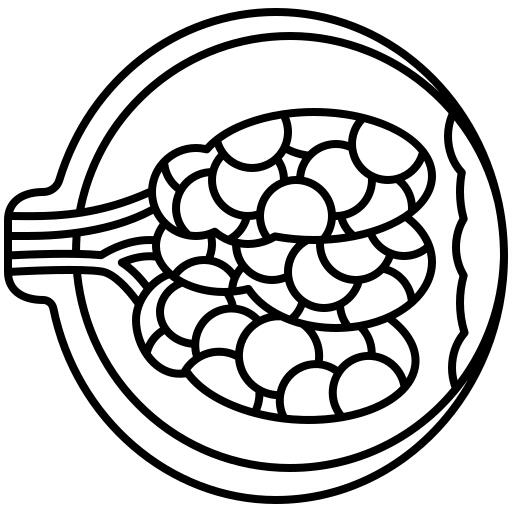Breasts
