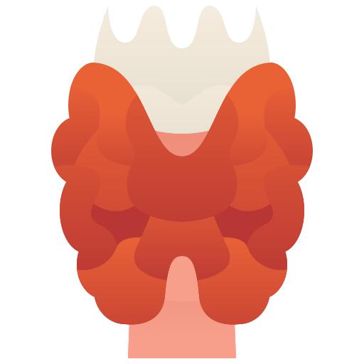 Thyroid gland