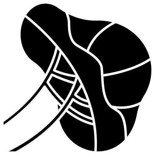 Spleen