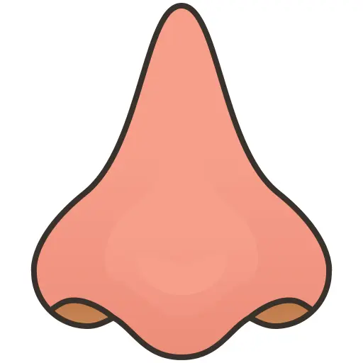 鼻子