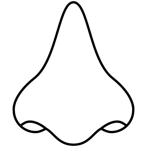 Nose