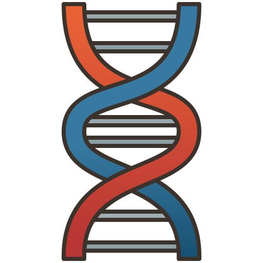 Dna structure