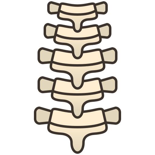 Backbone