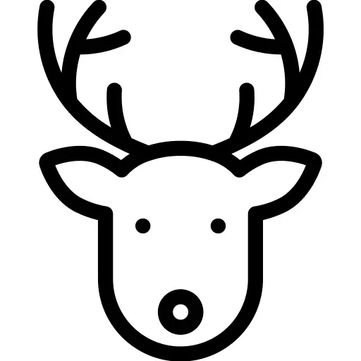 Reindeer