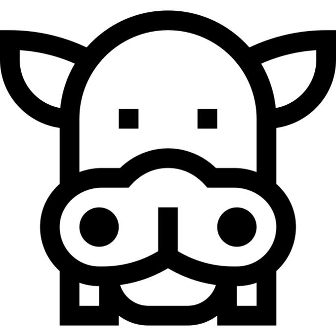 Hippopotamus