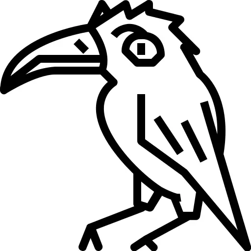 Crow