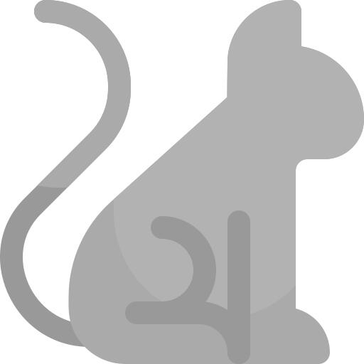 Black cat