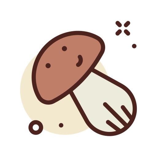 蘑菇