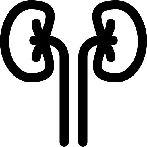 Kidneys