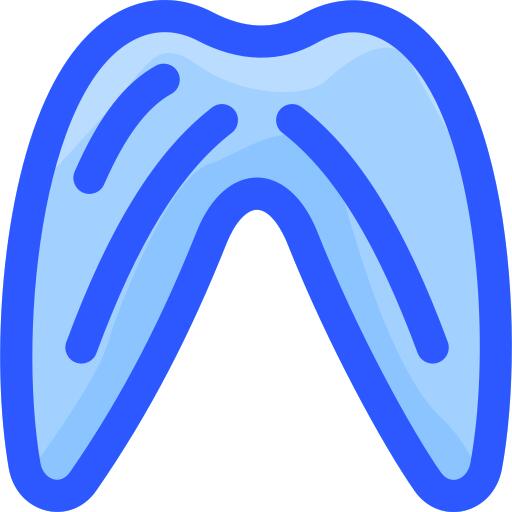 Diaphragm
