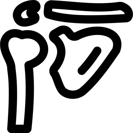 Shoulder blade