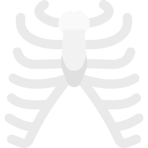 Ribs