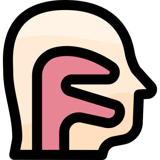 咽