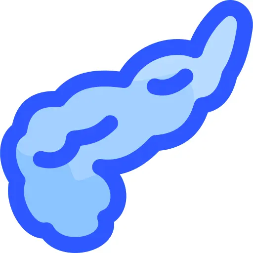 Pancreas