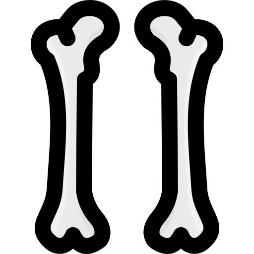 Femur