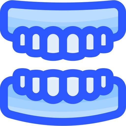 Teeth