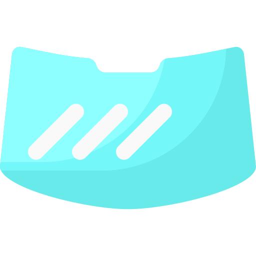 Windshield