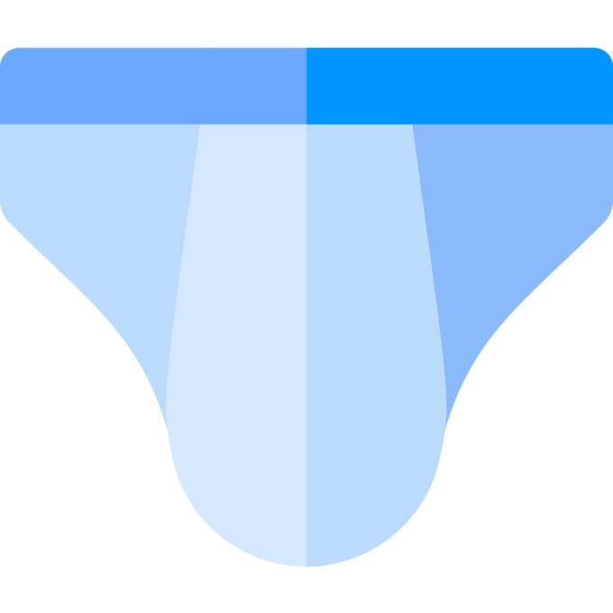 Briefs