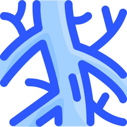 Arteries