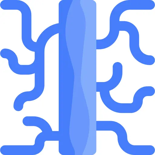 静脉