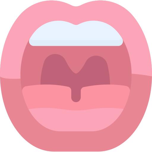 Mouth