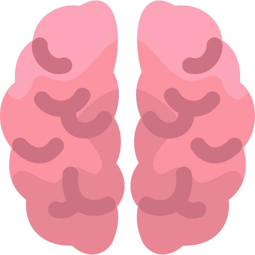 脑