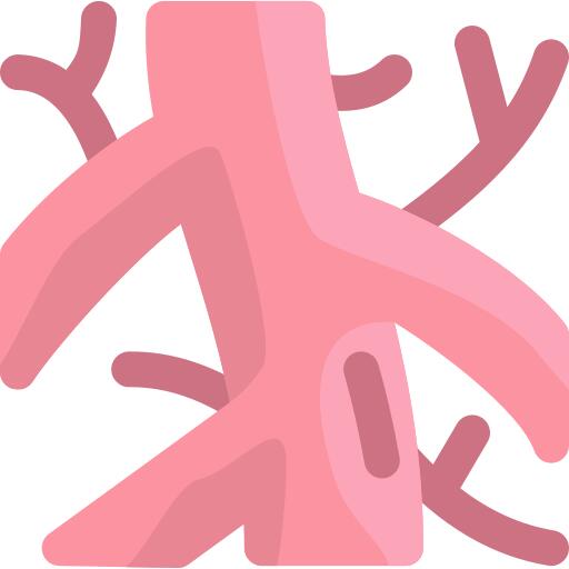 Arteries