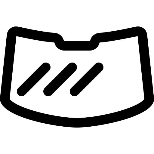 Windshield