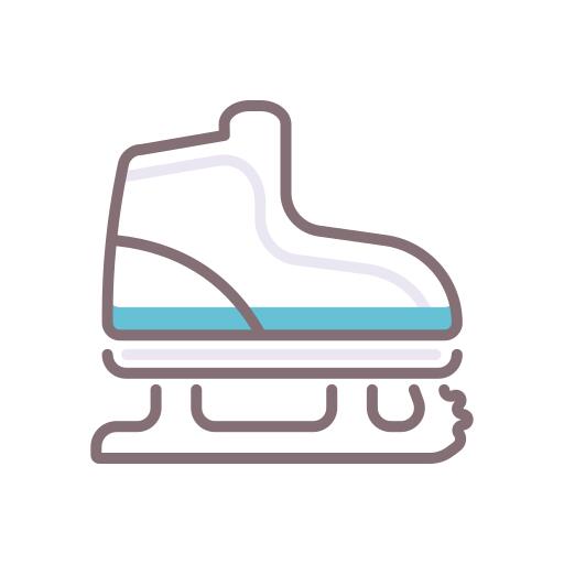 Ice skating shoes