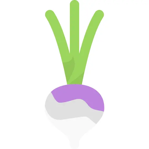 Turnip