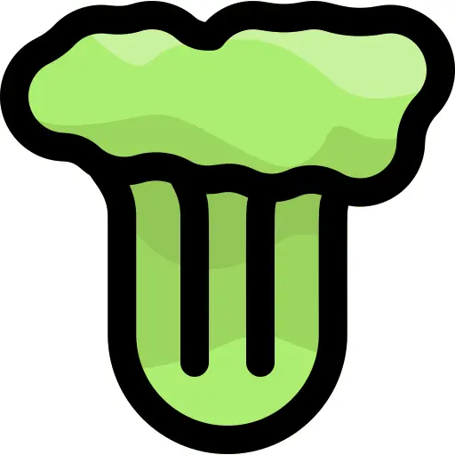 Celery
