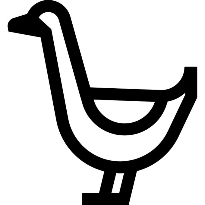 Goose