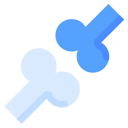 Bone