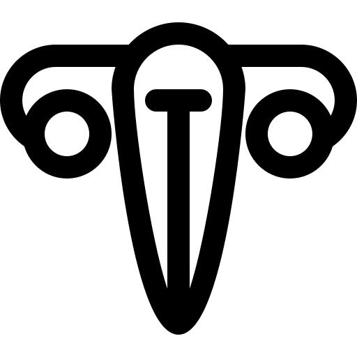 Vagina