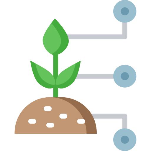 Plant