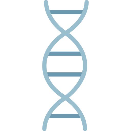 DNA结构