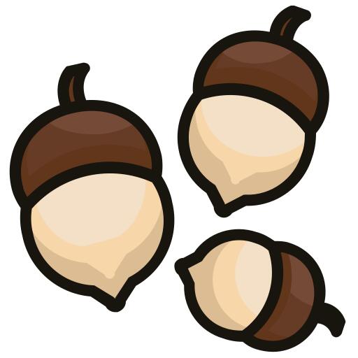 Acorn