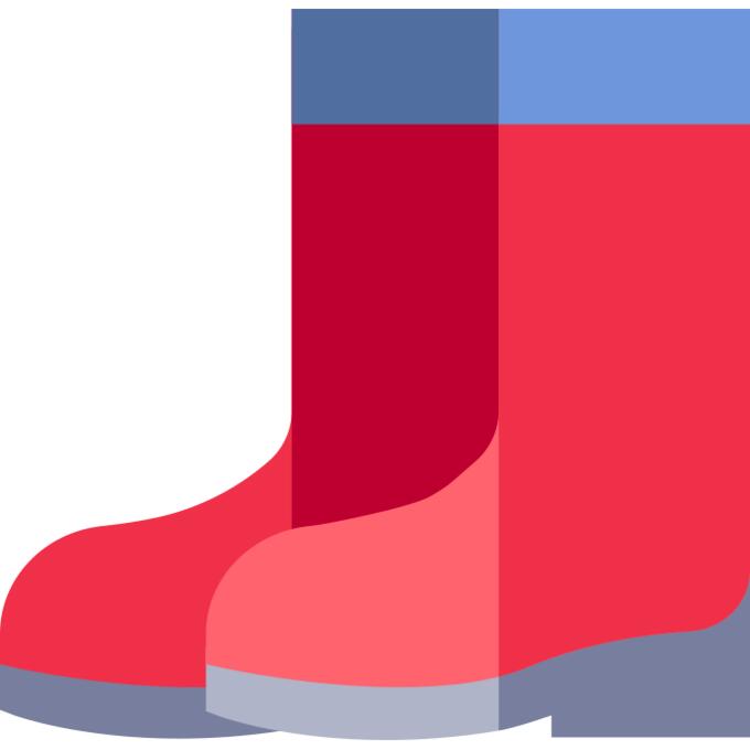 Water boots