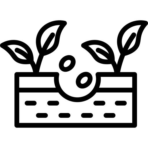 Seeding